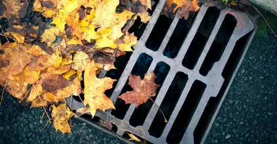 Outdoor drain during Fall